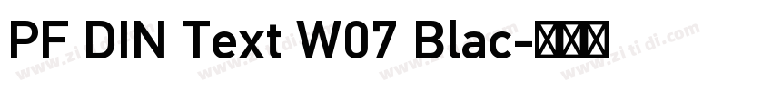 PF DIN Text W07 Blac字体转换
